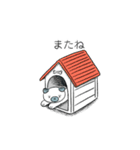 犬のこまめスタンプ（個別スタンプ：35）