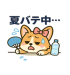 ブラウンコーギーカップル(夏バージョン)（個別スタンプ：3）