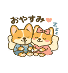 ブラウンコーギーカップル(夏バージョン)（個別スタンプ：8）