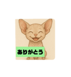 子猫のスフィンクス（個別スタンプ：1）