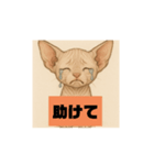 子猫のスフィンクス（個別スタンプ：7）