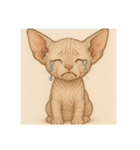 子猫のスフィンクス（個別スタンプ：8）