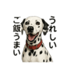 ダルメシアン オーリー だよ♡（個別スタンプ：3）