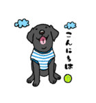 黒ラブラドールレトリーバー・丁寧語（個別スタンプ：2）