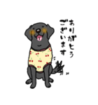 黒ラブラドールレトリーバー・丁寧語（個別スタンプ：6）