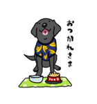 黒ラブラドールレトリーバー・丁寧語（個別スタンプ：8）