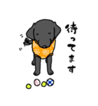 黒ラブラドールレトリーバー・丁寧語（個別スタンプ：23）