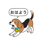 ビーグルの「ふうま」（個別スタンプ：3）