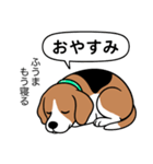 ビーグルの「ふうま」（個別スタンプ：4）