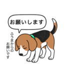 ビーグルの「ふうま」（個別スタンプ：5）
