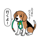 ビーグルの「ふうま」（個別スタンプ：10）