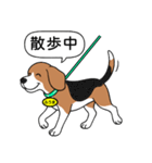 ビーグルの「ふうま」（個別スタンプ：11）