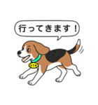 ビーグルの「ふうま」（個別スタンプ：12）