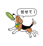 ビーグルの「ふうま」（個別スタンプ：14）