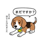 ビーグルの「ふうま」（個別スタンプ：15）