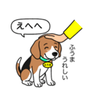 ビーグルの「ふうま」（個別スタンプ：17）