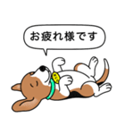 ビーグルの「ふうま」（個別スタンプ：18）
