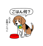 ビーグルの「ふうま」（個別スタンプ：19）