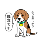 ビーグルの「ふうま」（個別スタンプ：20）