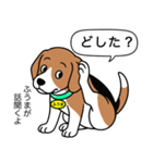 ビーグルの「ふうま」（個別スタンプ：21）