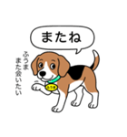 ビーグルの「ふうま」（個別スタンプ：22）