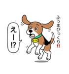 ビーグルの「ふうま」（個別スタンプ：23）