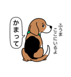 ビーグルの「ふうま」（個別スタンプ：24）