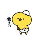 まいにちひよっこ小生意気（個別スタンプ：6）