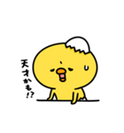 まいにちひよっこ小生意気（個別スタンプ：11）
