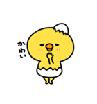まいにちひよっこ小生意気（個別スタンプ：34）