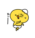 まいにちひよっこ小生意気（個別スタンプ：37）