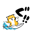 ふでしば【夏、挨拶など】柴犬（個別スタンプ：6）