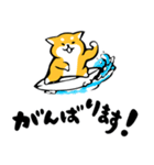 ふでしば【夏、挨拶など】柴犬（個別スタンプ：30）