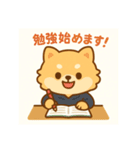 がんばるCPAポメラニアン 受験あるある編（個別スタンプ：1）