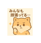 がんばるCPAポメラニアン 受験あるある編（個別スタンプ：5）