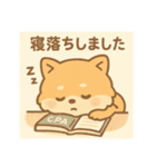 がんばるCPAポメラニアン 受験あるある編（個別スタンプ：7）