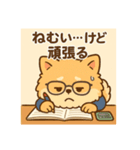 がんばるCPAポメラニアン 受験あるある編（個別スタンプ：9）