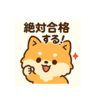 がんばるCPAポメラニアン 受験あるある編（個別スタンプ：13）