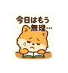 がんばるCPAポメラニアン 受験あるある編（個別スタンプ：14）