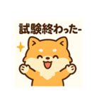 がんばるCPAポメラニアン 受験あるある編（個別スタンプ：15）