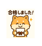 がんばるCPAポメラニアン 受験あるある編（個別スタンプ：16）