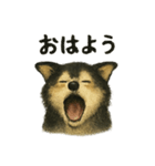 コロ！カワイイ！イラスト！（個別スタンプ：1）