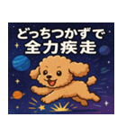 トイ・プードルと宇宙の旅@SFW（個別スタンプ：7）