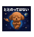 トイ・プードルと宇宙の旅@SFW（個別スタンプ：11）