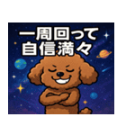 トイ・プードルと宇宙の旅@SFW（個別スタンプ：13）