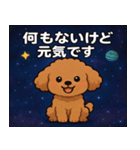 トイ・プードルと宇宙の旅@SFW（個別スタンプ：20）