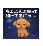 トイ・プードルと宇宙の旅@SFW（個別スタンプ：22）