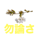適度に挨拶します（個別スタンプ：6）