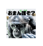 読みやすい土佐弁スタンプ（個別スタンプ：8）