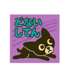 更年期のBlackチワワ（個別スタンプ：3）